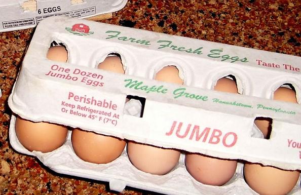egg box printing sample