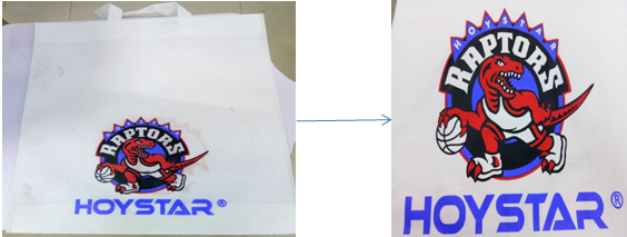 non woven bag printing machine